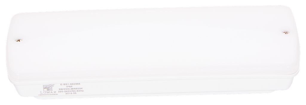 E-BS1-650365-BLOC SECOURS LED APPARENT IP65 220V MALINDA