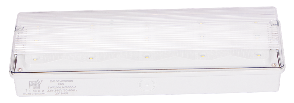 E-BS2-650365-BLOC SECOURS LED APPARENT IP65 220V ZINKOVAN