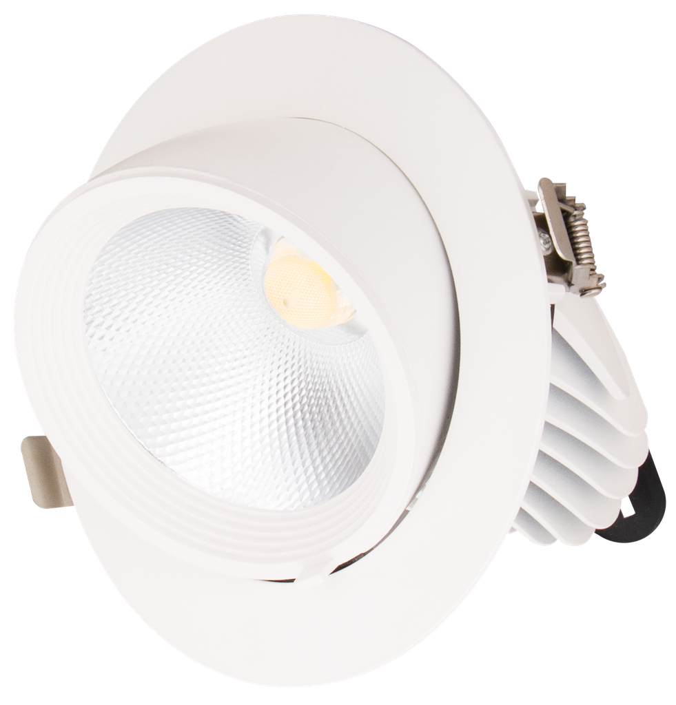 S-PS9-223065-SPOT LED A ENCASTRER ROND ORIENTABLE COB 220V PASTERIA