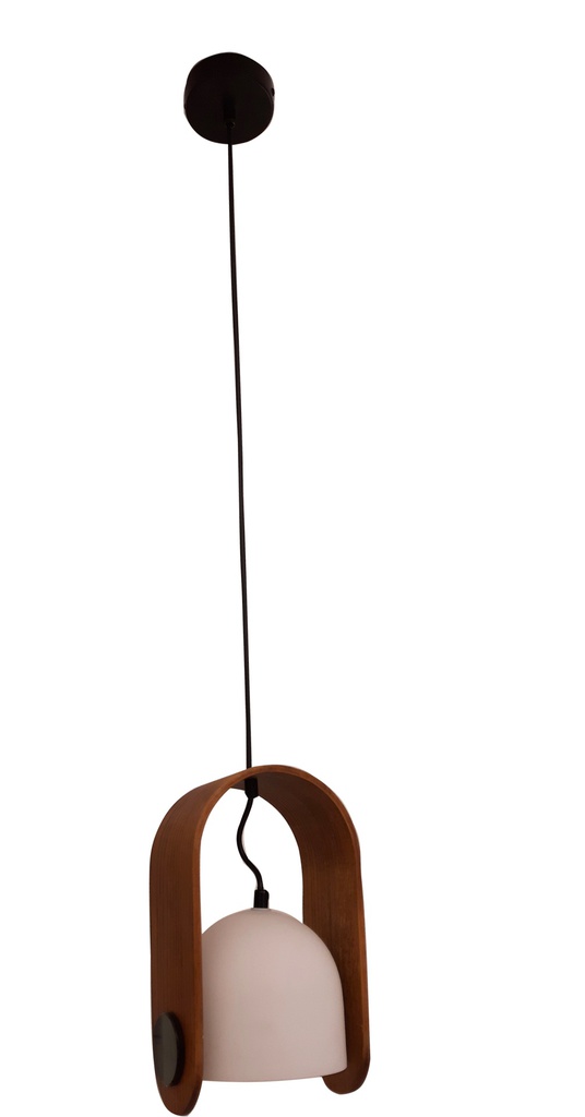 C-SUP-210424- SUSPENSION 1*E27 220V BOLSANO