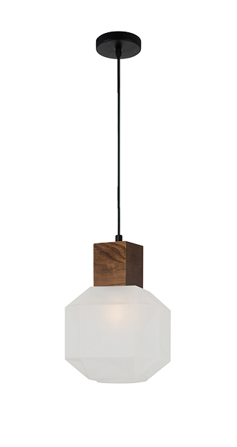 C-SUP-290419- SUSPENSION 1*E27 220V RONCADE