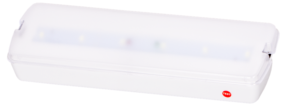 E-BS1-160366-BLOC SECOURS LED APPARENT AVEC TEST 220V STEVANIA